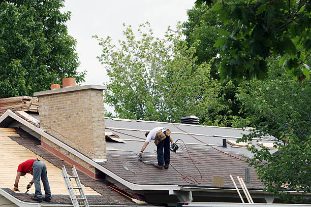 Best Gutter Installation and Roofing  in Mathews, LA